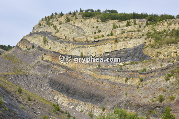 Carrière de charbon (Graissessac) - gryphea.com
